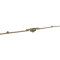 Winkhaus Fenstergetriebe GRM 1800/2 Dornmaß 8,5 mm